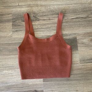Everlane Crop Sweater Tank